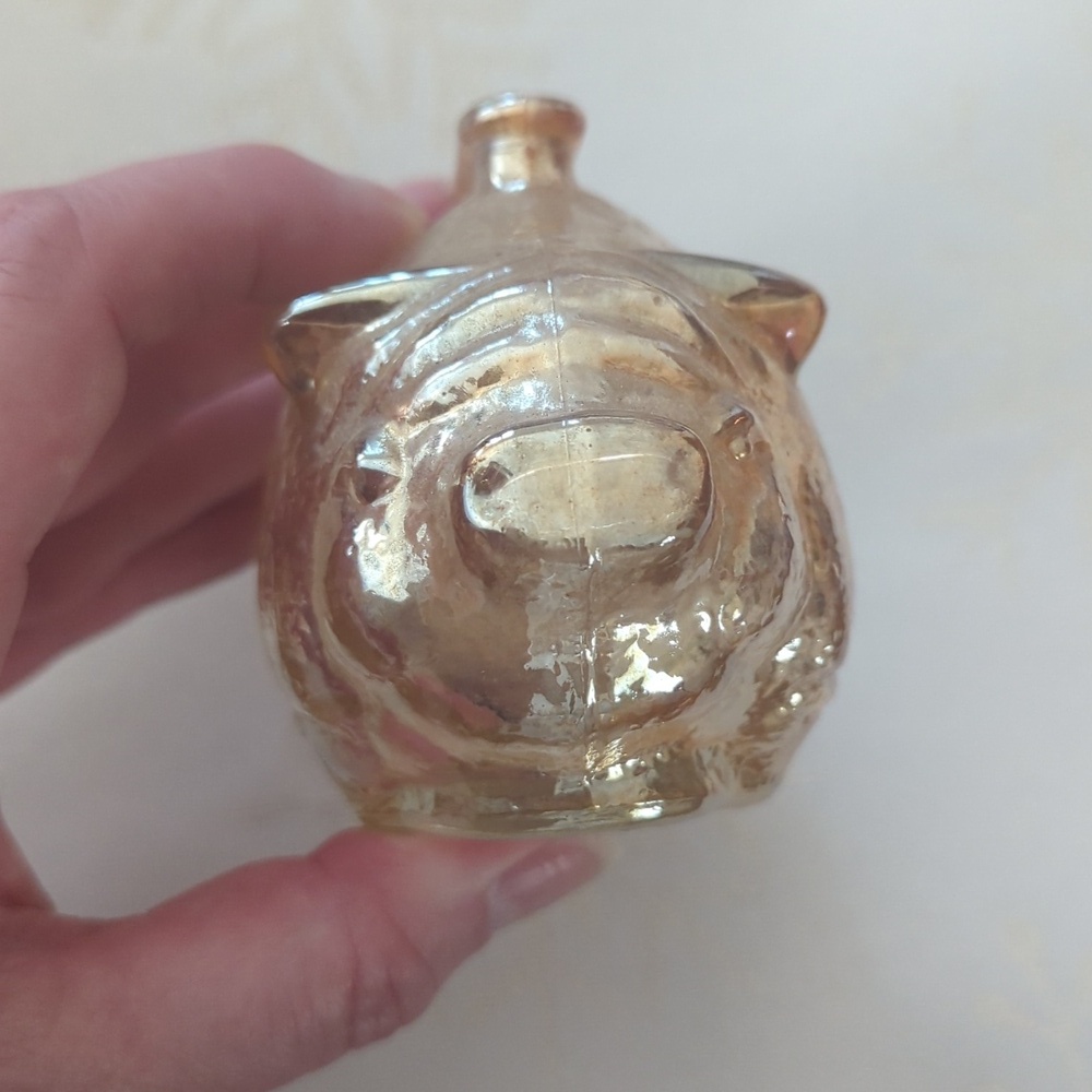 Carnical Glass Piggy Bank - Picture 5 of 8